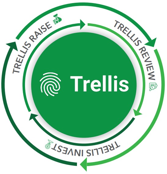 Trellis 3 Portals One Solution